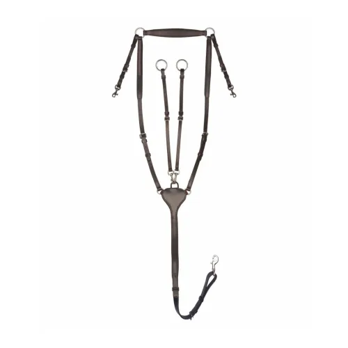 Vorderzeug Professional X-Line - Braun -  Farbe: Braun, Grösse: WB