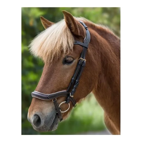 Waldhausen Islandzaum Anatomic - Braun -  Farbe: Braun, Grösse Zaum: Island