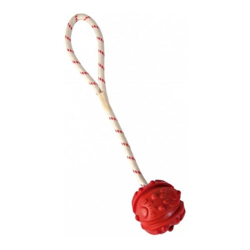 Trixie, TRIXIE Ball am Band schwimmend 35 cm Naturgummi - assortiert