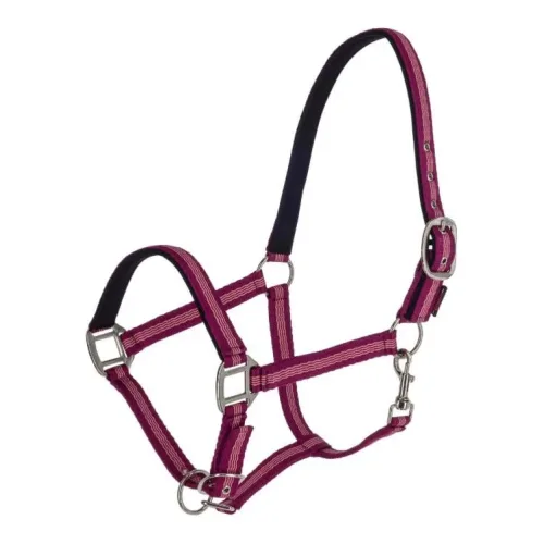 Covalliero Halfter Mustang - Brombeere -  Farbe: Brombeere, Grösse Halfter: Cob