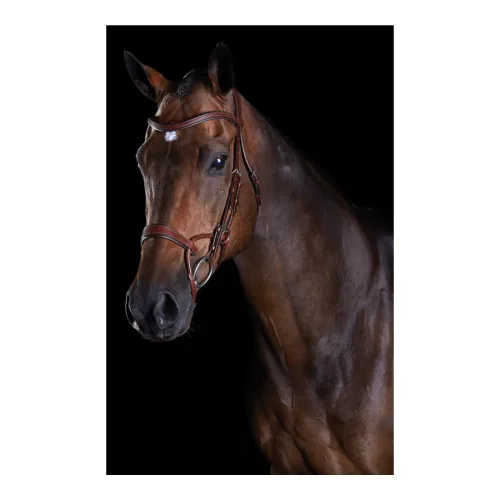Weatherbeeta Zaum Comfitec Training Bridle - Braun -  Grösse Zaum: Pony, Farbe: Braun