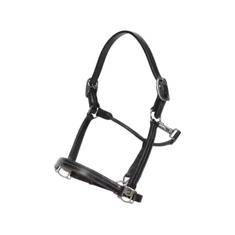 Dy'on Verstellbares US-Kopfhalfter WO coll - Schwarz -  Farbe: Schwarz, Grösse Pferd: Full