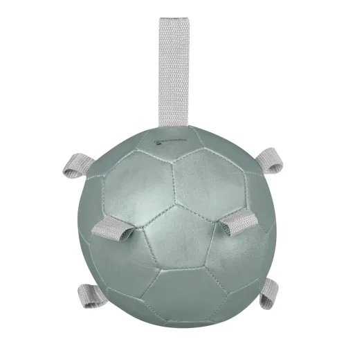 Waldhausen Karottenball - Mistel -  Farbe: Mistel, Grösse: One Size