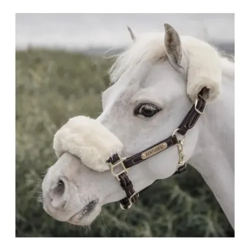 Kentucky Pony Lederhalfter - braun Grösse Halfter: Pony