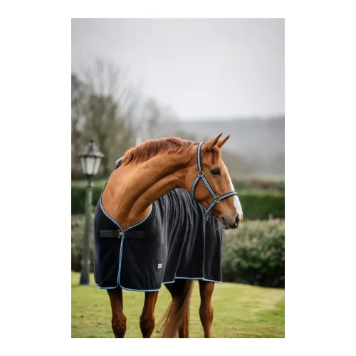 Bucas Halfter Dublin Anniversary - Black/Saphir -  Grösse: Pony