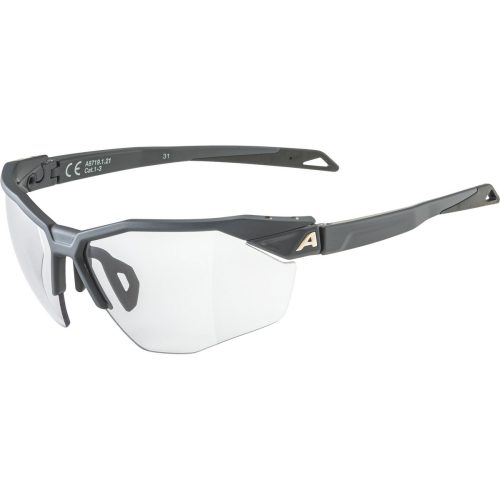 Alpina Twist Six HR V 1-3 Sportbrille