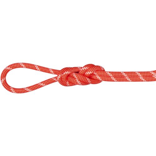 Mammut 8.0 Alpine Classic Kletterseil