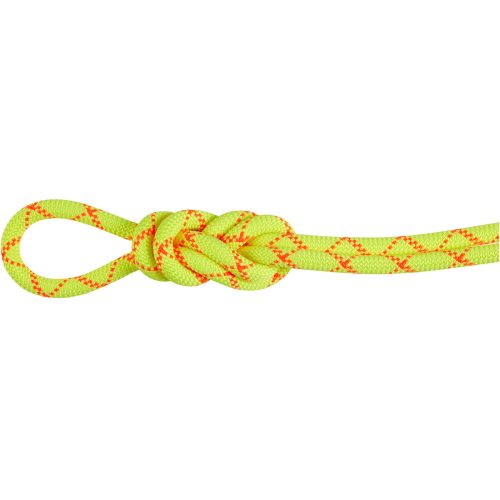 Mammut 9.5 Alpine Core Protect Dry Kletterseil