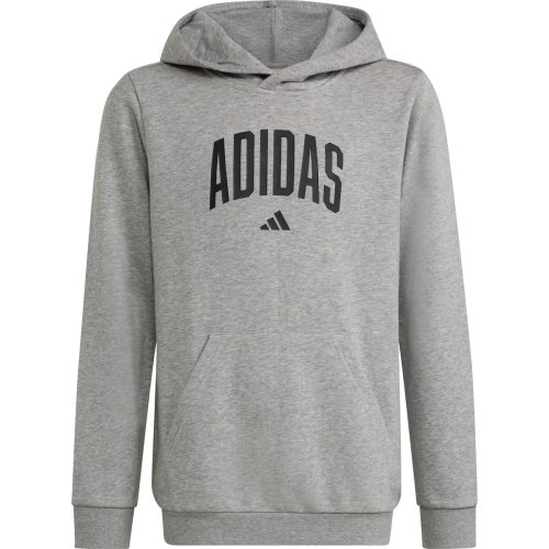adidas Kinder Collegiate Graphic Hoodie