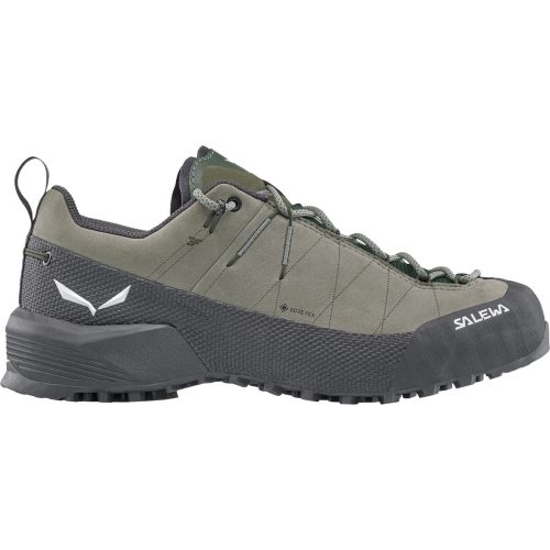 Salewa Damen Wildfire Leather 2 GTX Schuhe