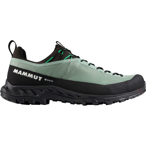 Mammut Herren Alnasca IV Low GTX Schuhe
