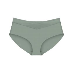 Triumph True Shape Sensation T Panty in grau