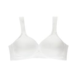 Rosa Faia Soft-BH 