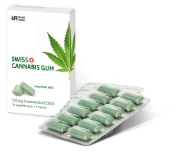 Swiss Cannabis Gum 120 mg CBD Mint Box (24 Stk)