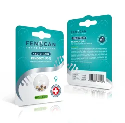 FENOCAN Fenojoy CBD Hanfsamen (3 Stk)