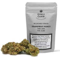QUALICANN Wildcard Strain Grapefruit Punch (5.5g)