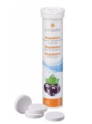 Livsane Magnesium Schwarzer Johannisbeeren (20 Stk)