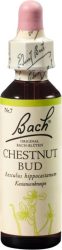 BACH-BL&Uuml;TEN Original Chestnut Bud No07 20 ml