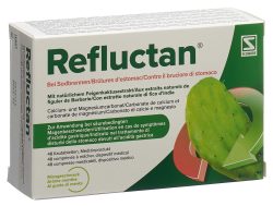 Refluctan Kautabletten mit Minzgeschmack bei Sodbrennen (48 Stk)
