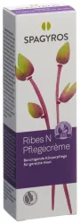 SPAGYROS Ribes N Pflegecrème mit Dispenser (50ml)