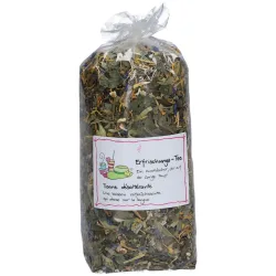 Herboristeria Tee Erfrischung im Sack (80g)