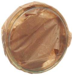 ASSISTENT Petrischale, 10x2cm, Glas (1 Stk)