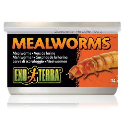 Exo Terra Mehlwürmer (68g)
