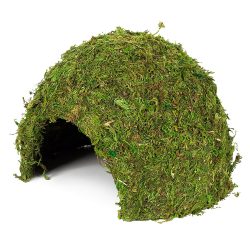 Hobby Jungle Cave grün, 17x17x12cm (1 Stk)