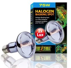 Exo Terra Halogen Basking Spot energieeffiziente Breitspektrum-Glühbirne 75W (1 Stk)