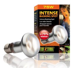 Exo Terra Intense Basking Spot Wärmespotlampe 75W (1 Stk)