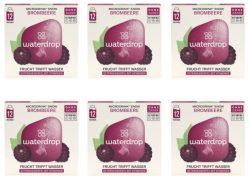 waterdrop Microdrink Brombeere Snow (6x12 Stk)