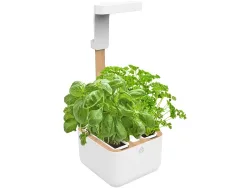 VÉRITABLE EYLO Indoor-Gemüsegarten Weiss