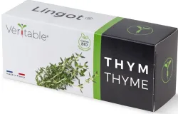 VÉRITABLE Lingot Gemüsegarten Thyme Grün