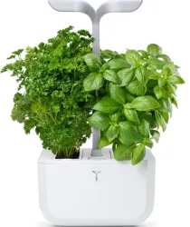 VÉRITABLE SMART Indoor-Gemüsegarten Weiss