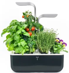 VÉRITABLE SMART Indoor-Gemüsegarten Schwarz