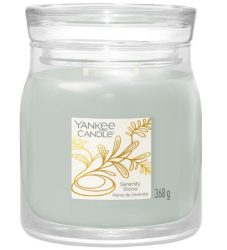 Yankee Candle - Duftkerze im Glas, 368 g, Mint