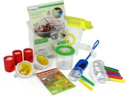 TimeTEX Entdecker-Set Insekten & Co. (8-teilig)