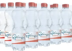 Eptinger rot prickelnd (12x500ml)