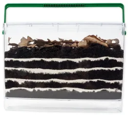 TimeTEX Beobachtungs-Set Regenwürmer, 30x21x6cm (8-teilig)