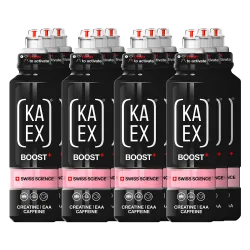 KA-EX GO EAA+ CREATINE BOOSTER (12x460ml)