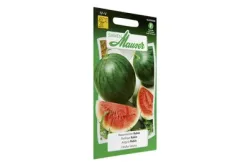 Samen Mauser Wassermelone Rubin