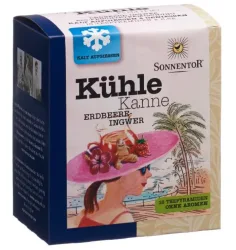 Sonnentor Kühle Kanne Erdbeere- Ingwer Tee (16x2.8g)