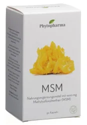 Phytopharma MSM Kapseln (90 Stk)