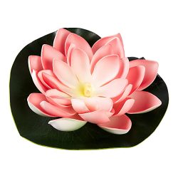 Solar-Seerose, rosa