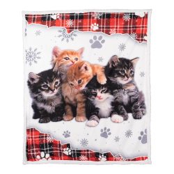 Kuscheldecke ­?Katzen-Kindergarten?