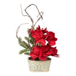Arrangement ?Amaryllis?