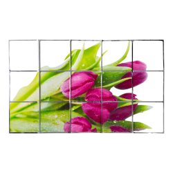 Spritzschutz-Folie ?Tulpen?