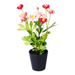 Kunst-Chrysantheme, rosa