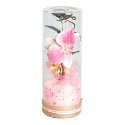 LED-Deko ?Orchideen-Traum?