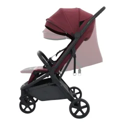 Buggy NUBI 3
